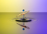 Water Drop Photography