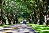 SE Bridge Road Hobe Sound Florida 058