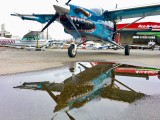 Sharknado Quest Kodiak