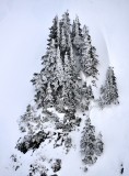 LIfe on Liberty Mountain Cascade Mountains Washington 196