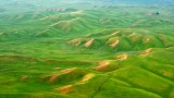 Rolling Hills  by Willows California 356 