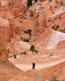 Ipad Photographer at Bryce Canyon National Park Utah 232 