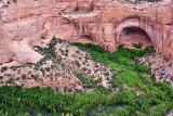 Betatakin means House Built on a Ledge Navajo National Monument Arizona 388