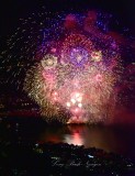 Lake Union 4th of July Celebration Seattle Washington 340  