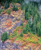 Fall in the Pacific Northwest Skykomish Washington 119 