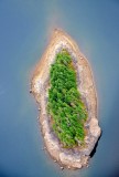 Island in the Tolt Reservoir Washington 101  