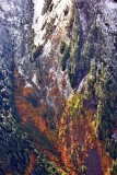 Fresh Snow on Cascade Mountains 821 