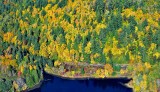 Fall colors on Bainbridge Island Washington 201  