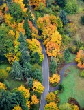 Brilliant Colors of Autumn in Washington State 049 