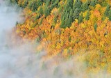 Autumn along Snqoualmie River Valley by Monroe 603  