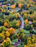 Brilliant Colors of Autumn in Washington State 127 