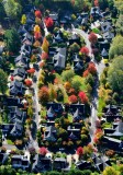 Beautiful neighborhood on Bainbridge Island 236  