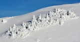 Snow covered trees on Mt Index Washington 1429  