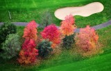 Fall Foliage on golf course 385  
