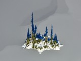 Island in Lake Dorothy in Cascade Mountains 242  
