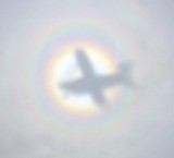 Kodiak in circular rainbow over Florida 460