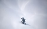 Determination and Perserance 308