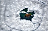 Island in frozen Horsehoe Lake, Cascade Mountains, Washington 246 