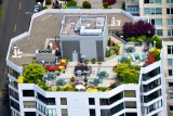 Condo Garden in downtown Seattle, Washington 017 