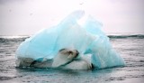 Icebergs on Diamond Beach, by Jkulsrln glacial lagoon, Iceland 667