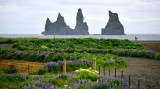 Reynisdrangar and Blasandi, Basalt Sea Stacks, Vik, Iceland 1406