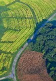 Long Mills Road, nearby Leesburg, North Carolina 289