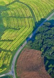 Long Mills Road, nearby Leesburg, North Carolina 289 