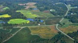 Landscape in rural Virginia 320 