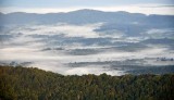 Morning fog in Corzet valley, Virginia 065
