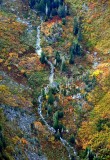 Fall colors in Salmon Creek, Cascade Mountains, Washington 206
