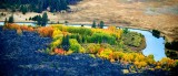 Fall along the Deschutes River near Sunriver, Oregon 283