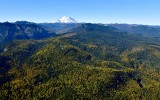 Fall foliages in Eastern Washington and Mount Rainier, Washington 329 