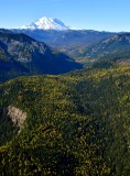Mount Rainier and fall foliages in Crow Creek, Washington 360
