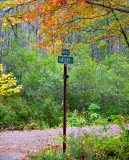 Hawthorne Lane, Harpswell, Maine 137