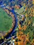 Fall foliage along the Duvall Monroe Road NE in Snoqualmie River Valley, Duvall, Washington 114