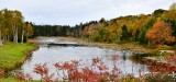 Wilson's Pond on Orr's Island, Maine 247
