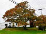 New England scene on Orr's Island Maine 282