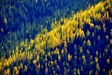 Autumn in Eastern Washington 880