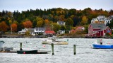 Salt Cod Cafe and Orrs Bailey Yacht Club, Orrs Island, Maine 375 