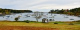 Johnson Field Preserve at Mackerel Cove, Bailey Island, Maine 450  