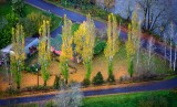 Autumn along the Snoqualmie River, Fall City, Washington 205
