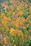 Autumn in the Pacific Northwest