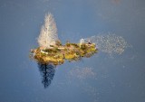 Sailboat Island 130