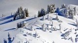Gathering on the Ridge, Cascades Mountain, Washington 300
