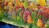 Fall Foliage along Highway 2, Monroe 405a 