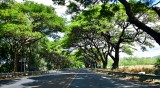 Honoapilani Highway 30, Lahaina, Hawaii 011