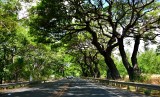 Honoapilani Highway 30, Lahaina, Hawaii 013 