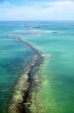 Cross Bank, Florida Bay, Everglades National Park, Plantation Key, Florida 122