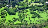Large farm off Kalanikahua Road in Haiku, Maui, Hawaii 778