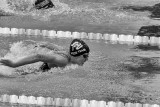 The Swimmer